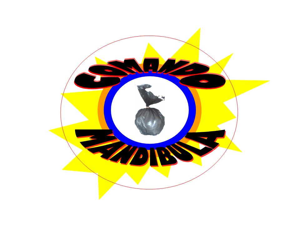 LOGO COMANDO JPG.jpg